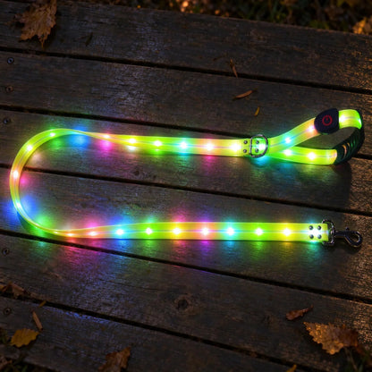 Leuchtende Hundeleine Mit LED Leuchten