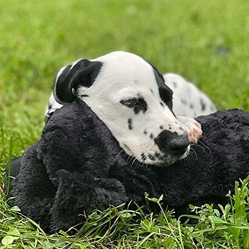 Liam Hunde Kuscheltiers Knuddel Pfoten