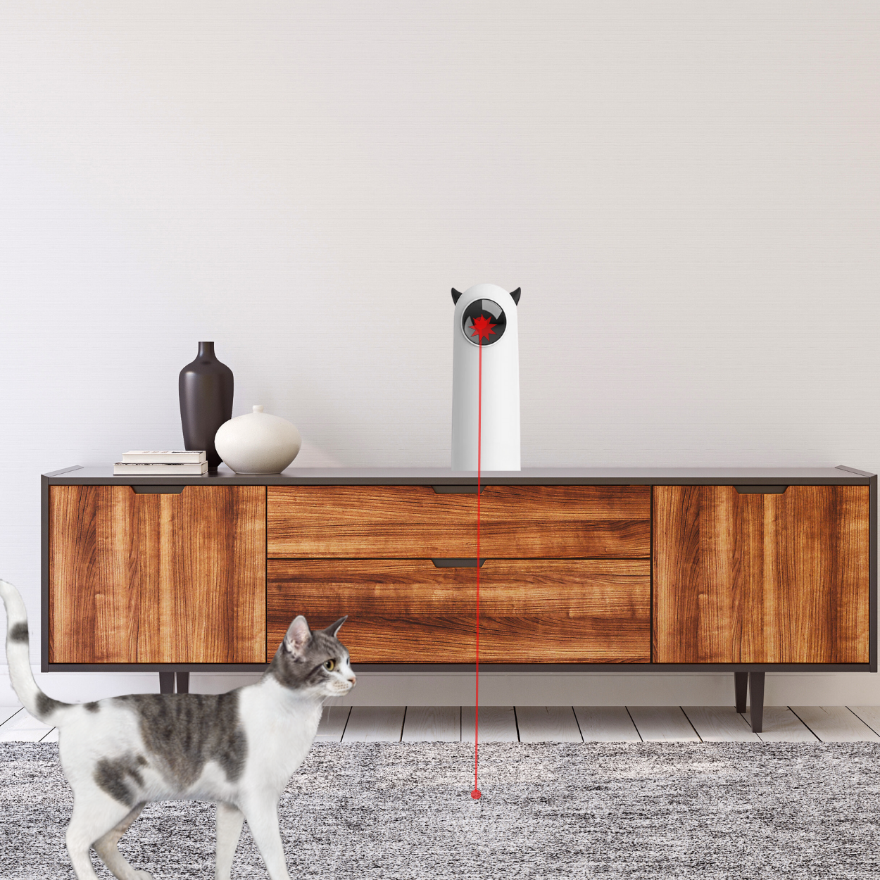 Liesel Laser Spielzeug fur Katzen