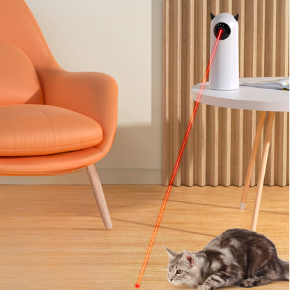 Liesel Laser Spielzeug fur Katzen