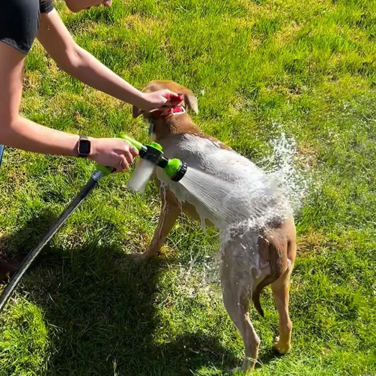 Lissy Automatischer Duschkopf mit Seifenspender