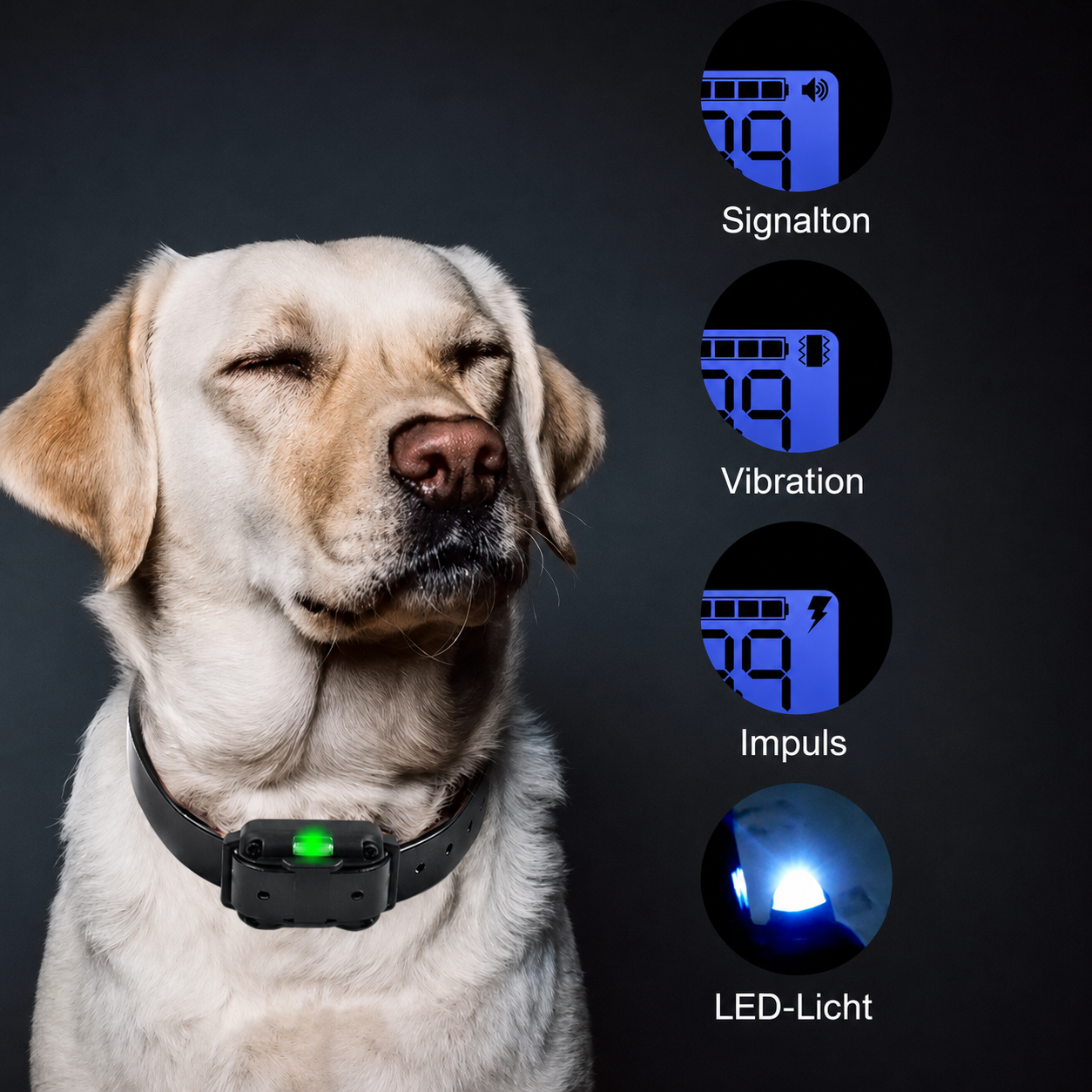 Lupo | Trainingshalsband mit Fernbedienung und einstellbarer Stimulation