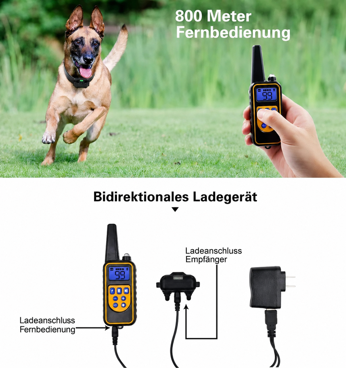 Lupo | Trainingshalsband mit Fernbedienung und einstellbarer Stimulation