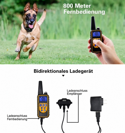 Lupo | Trainingshalsband mit Fernbedienung und einstellbarer Stimulation