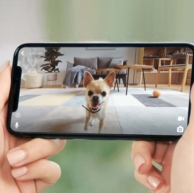Maren Haustierkamera mit WiFi und Nachtsicht fur Hunde und Katzen