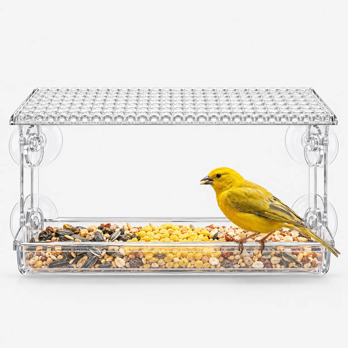 Modernes Futterhaus Für Vögel Am Fenster