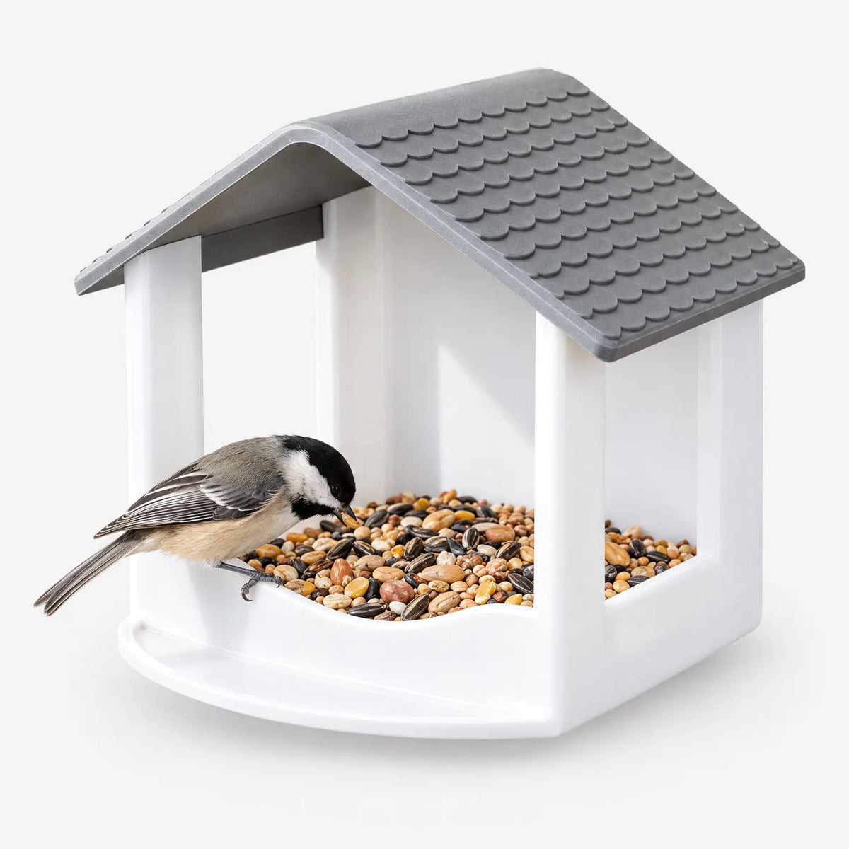 Modernes Vogelfutterhaus Für Die Hauswand