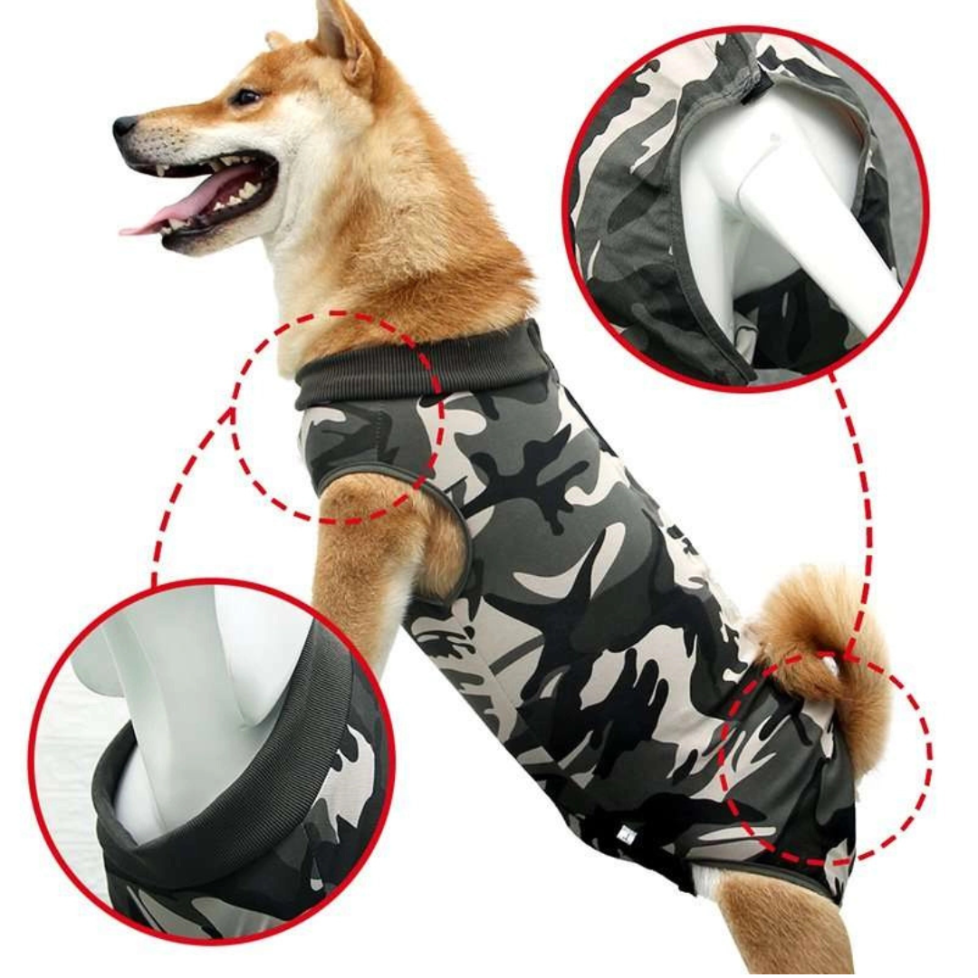 Ziggy Erholungsoverall für Hunde