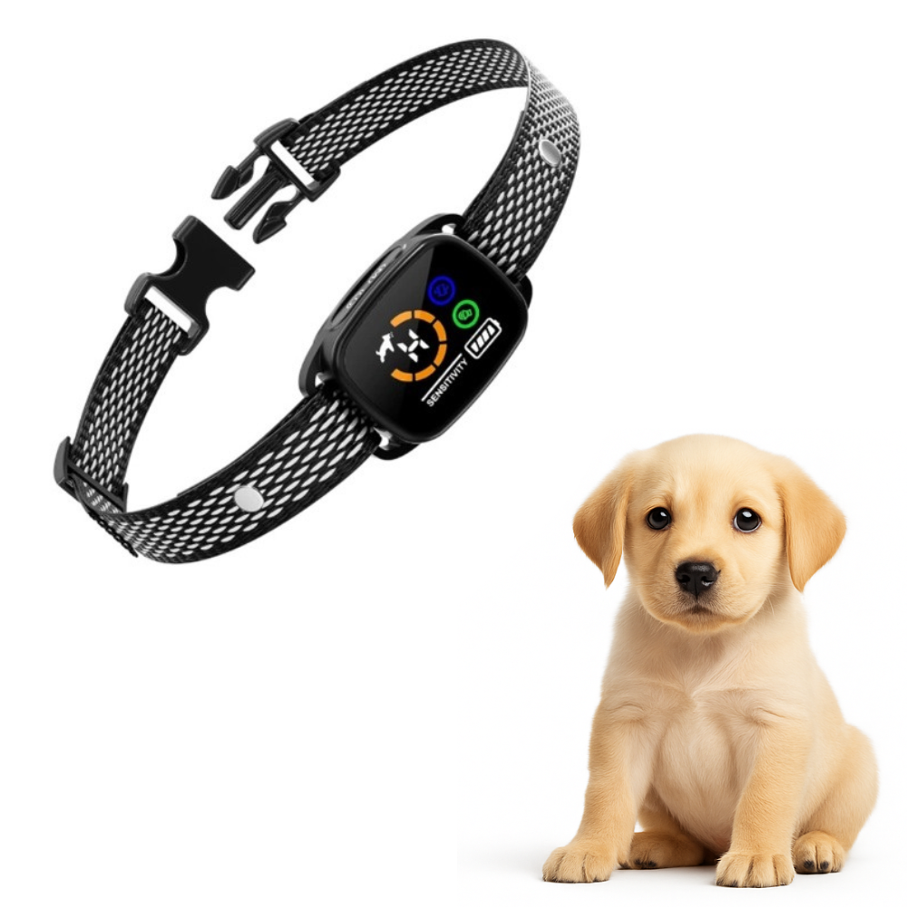 Dirk | Anti Bell Halsband Hund