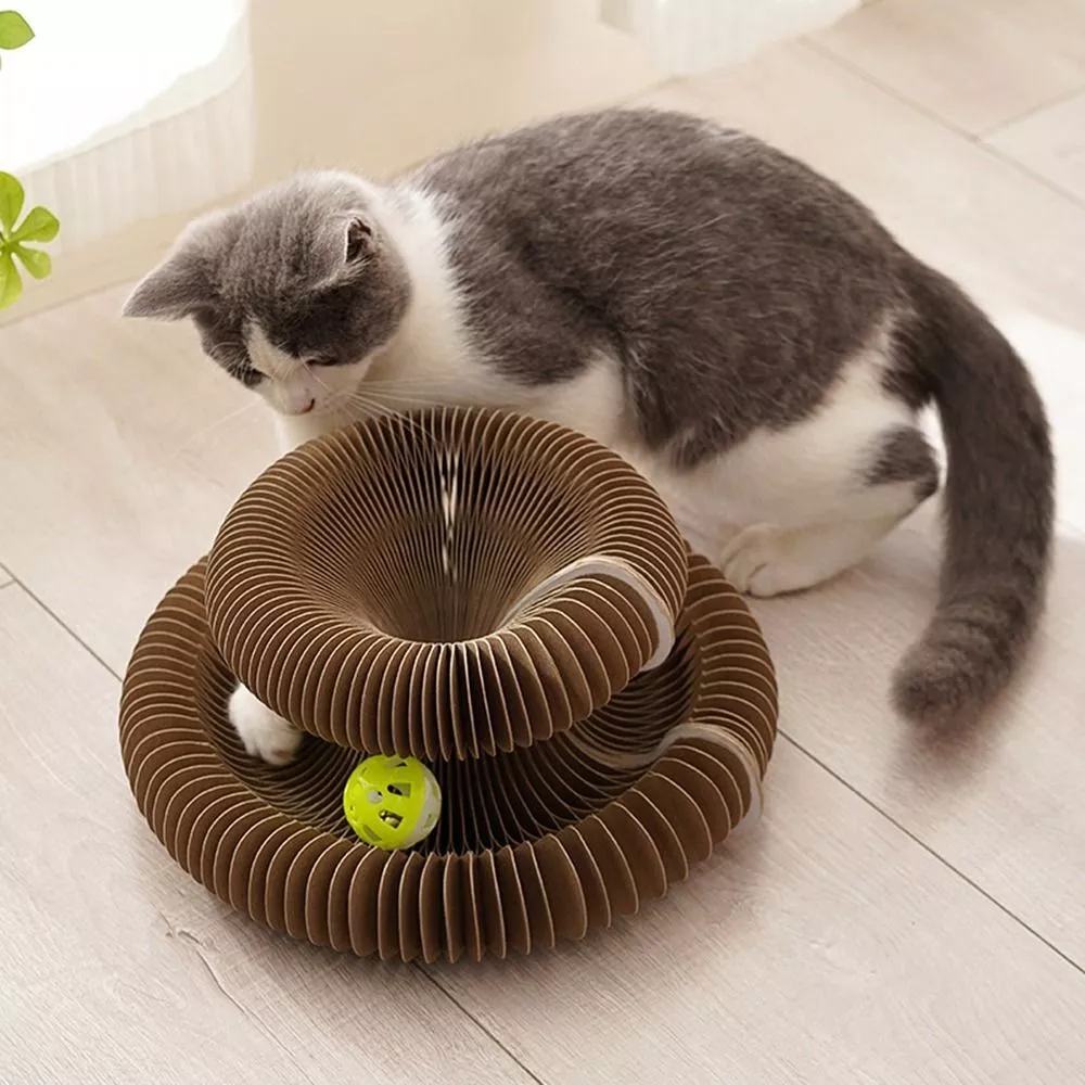 Gizmo | Kratzorgel, die Stress und Langeweile reduziert