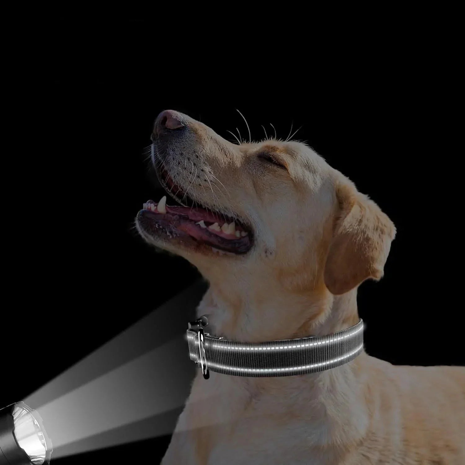 Reflektierendes Halsband mit integrierter AirTag Halterung | Altorra