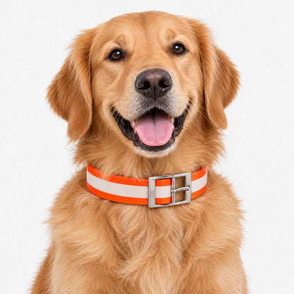 Reflektierendes Hundehalsband Mit D-Ring
