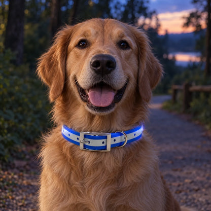 Reflektierendes Hundehalsband Mit D-Ring