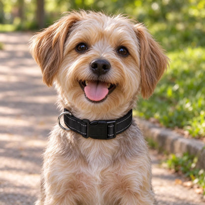 Reflektierendes Hundehalsband Mit Klickverschluss