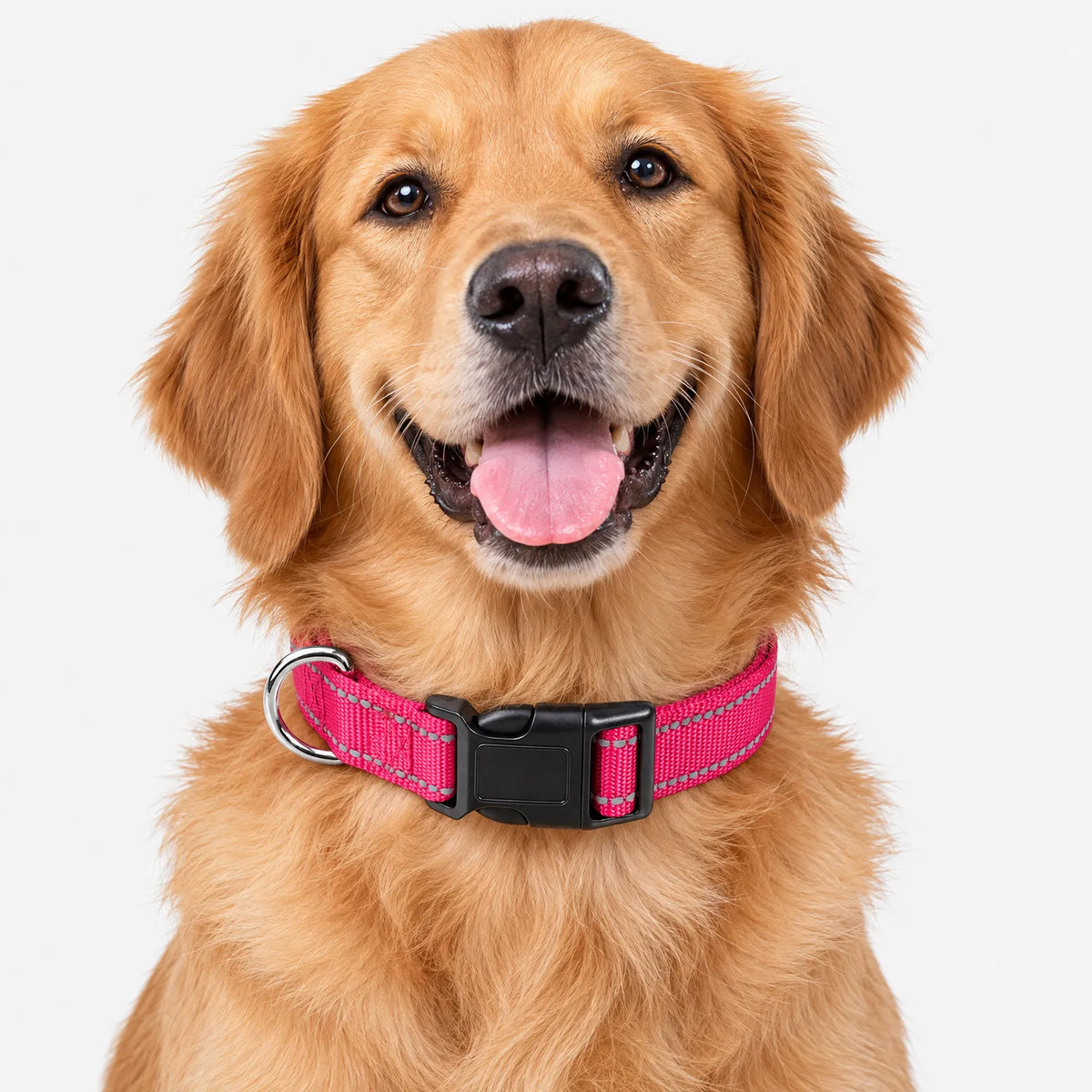 Reflektierendes Hundehalsband Mit Klickverschluss