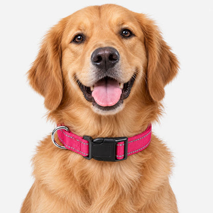 Reflektierendes Hundehalsband Mit Klickverschluss