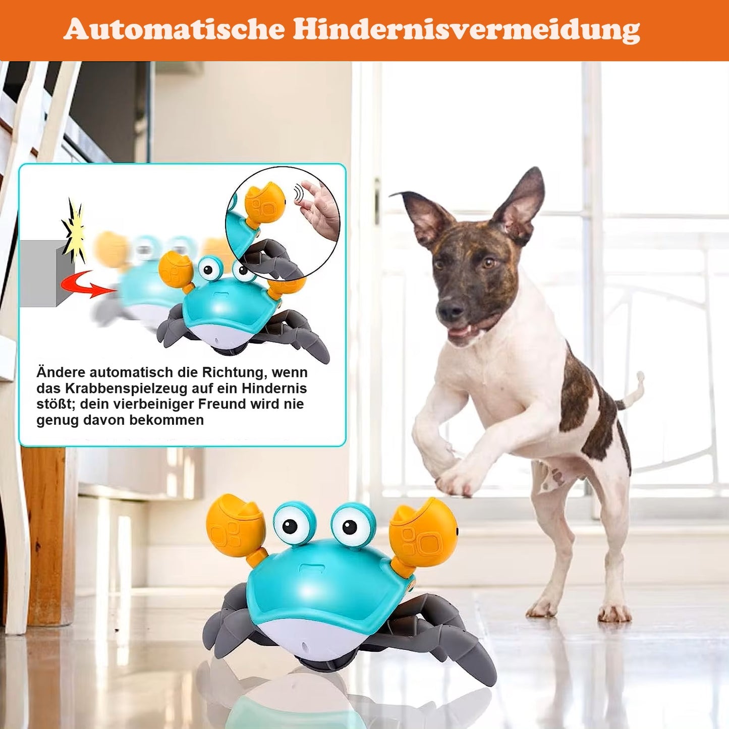 Rex | Interaktives Krabben-Hundespielzeug