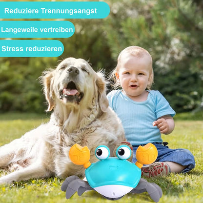 Rex | Interaktives Krabben-Hundespielzeug