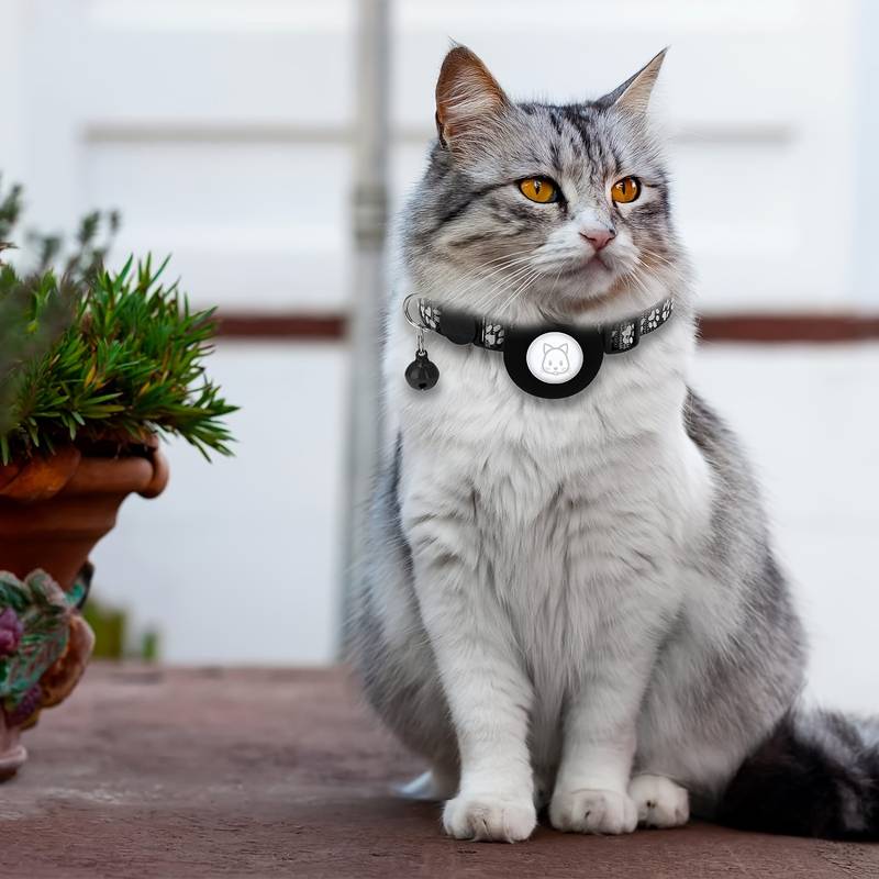 Rocky | Katzenhalsband geeignet für gps katze Ortung