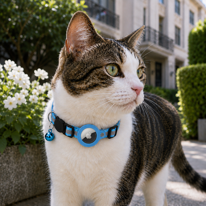 Rocky | Katzenhalsband geeignet für gps katze Ortung