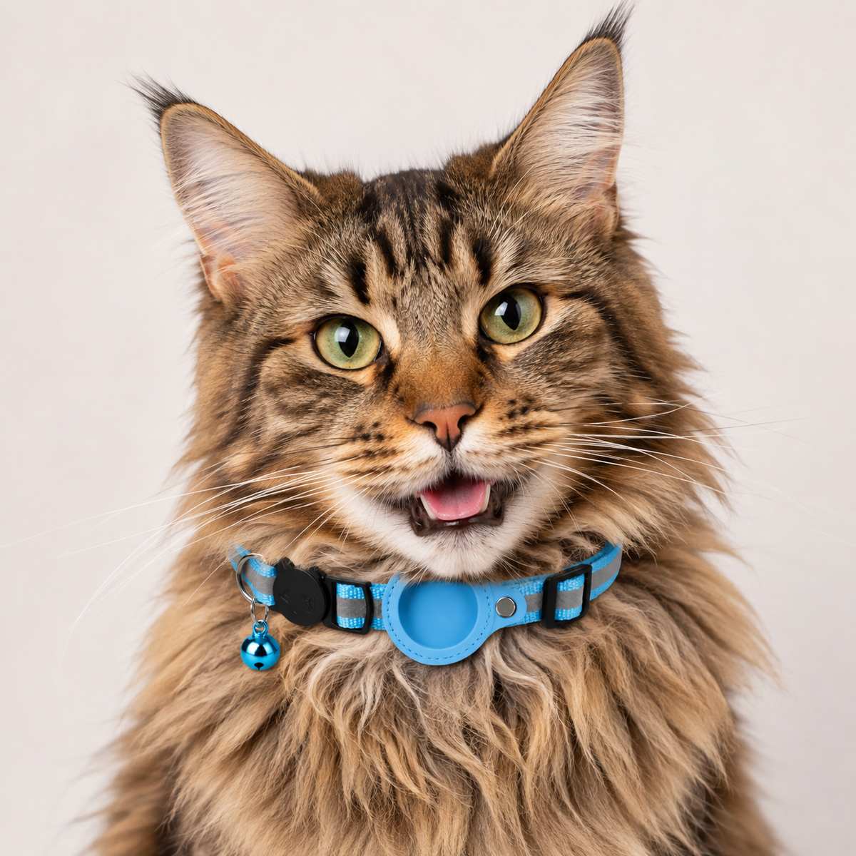 Rocky | Katzenhalsband geeignet für gps katze Ortung