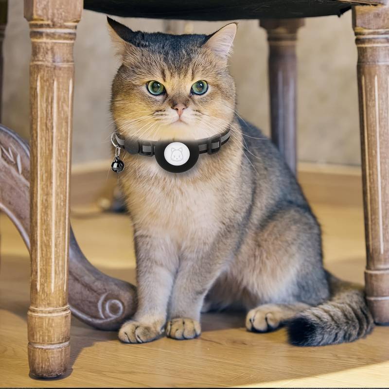 Rocky | Katzenhalsband geeignet für gps katze Ortung