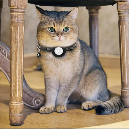 Rocky | Katzenhalsband geeignet für gps katze Ortung