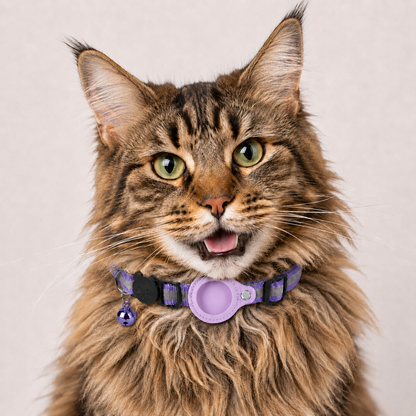 Rocky | Katzenhalsband geeignet für gps katze Ortung