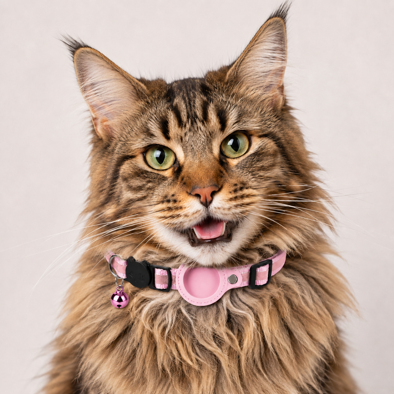 Rocky | Katzenhalsband geeignet für gps katze Ortung