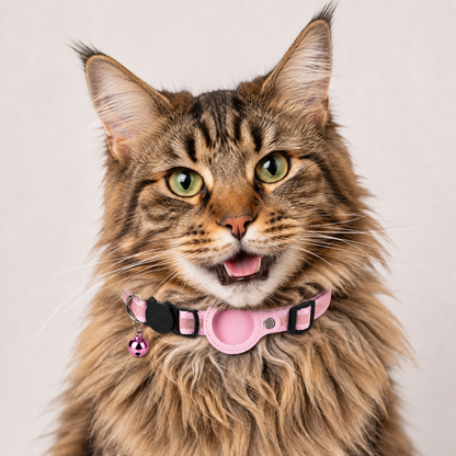 Rocky | Katzenhalsband geeignet für gps katze Ortung