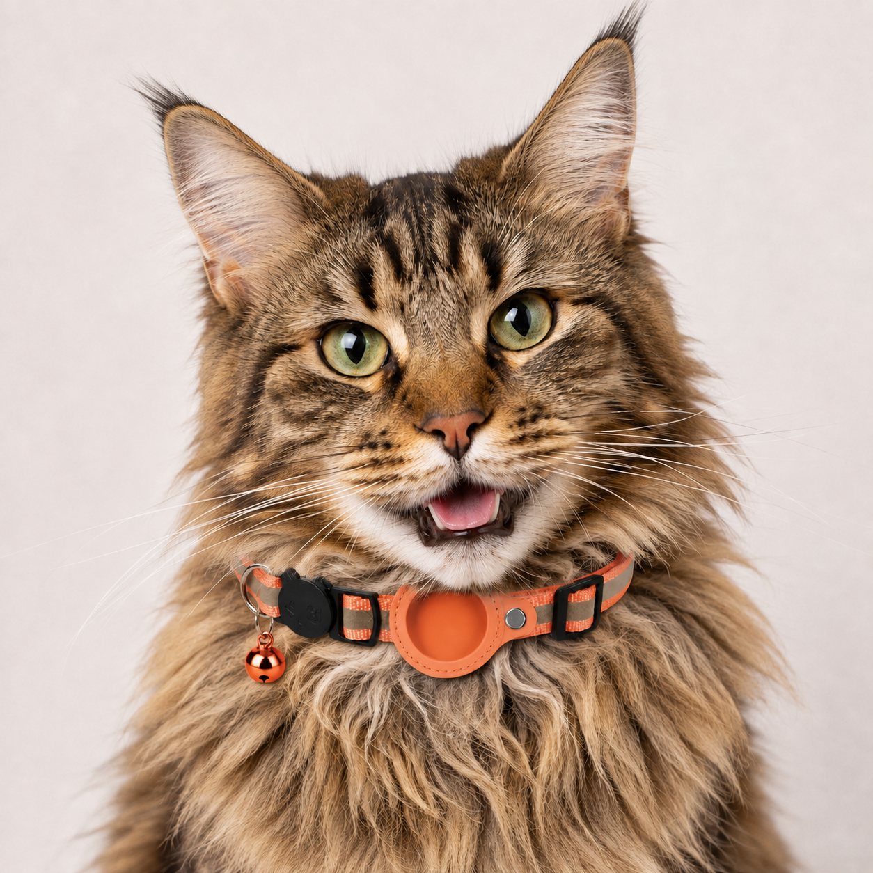 Rocky | Katzenhalsband geeignet für gps katze Ortung