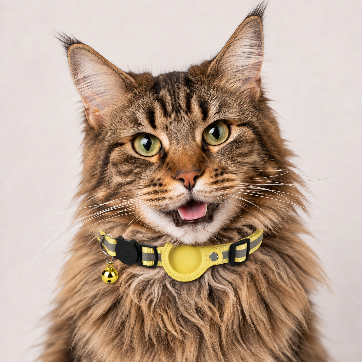 Rocky | Katzenhalsband geeignet für gps katze Ortung