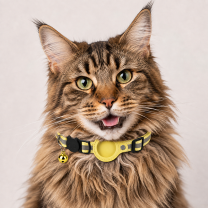 Rocky | Katzenhalsband geeignet für gps katze Ortung