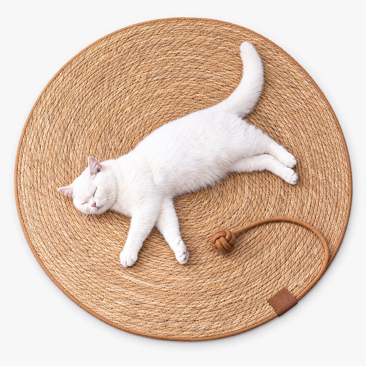 Runde Kratzmatte Für Hauskatzen