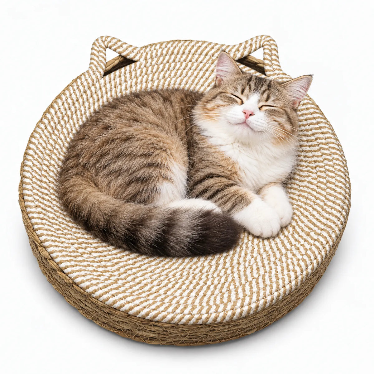 Rundes Katzenbett Mit Katzenohren Details