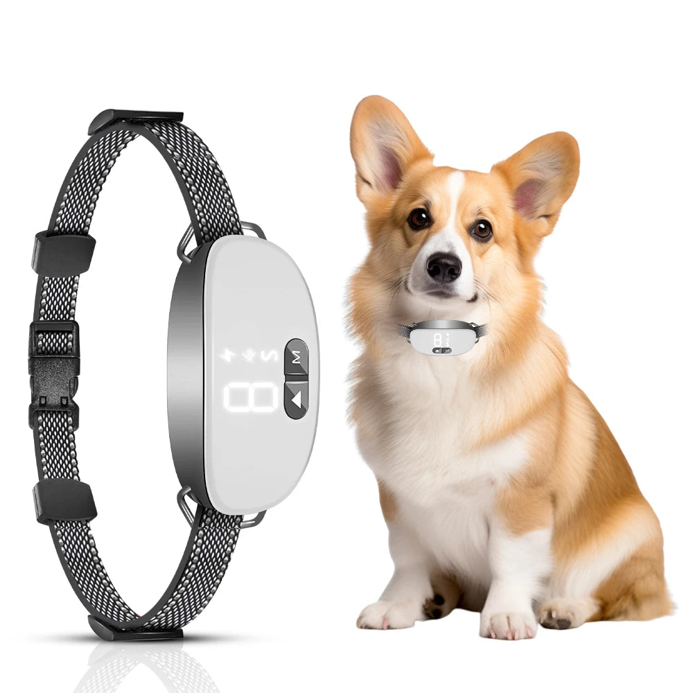 Schoko | Anti-Bell-Halsband mit Vibration und Tonsignalen Knuddel Pfoten Schoko | Anti-Bell-Halsband mit Vibration und Tonsignalen Knuddel Pfoten