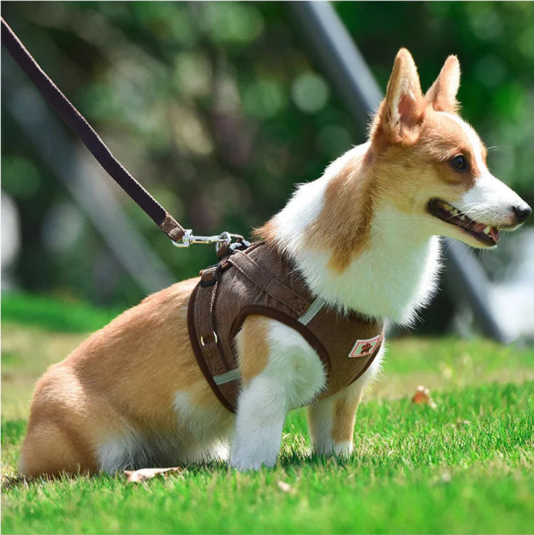 Manfred Reflektierendes Hundegeschirr Set Atmungsaktiv