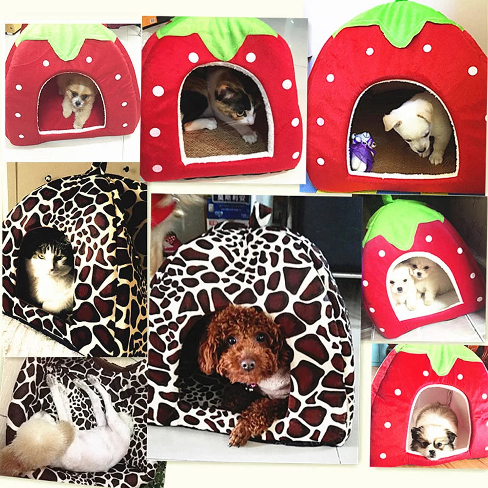 Zorric Haustierhaus für Katzen und Hunde