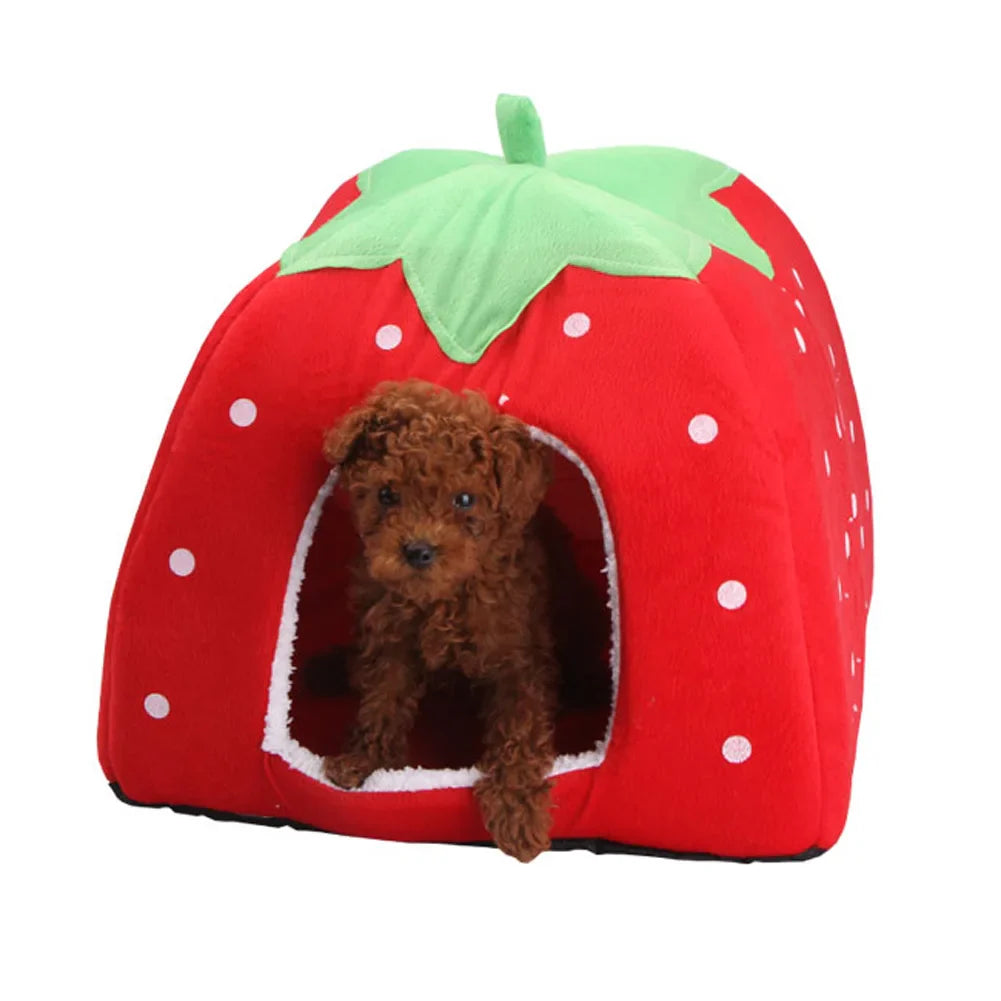Zorric Haustierhaus für Katzen und Hunde