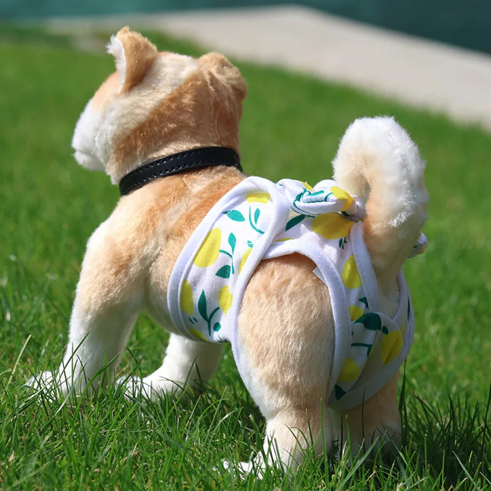 Alice Waschbare Windeln Hunde
