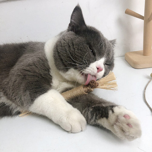 Shiva | Kratzspielzeug für Katzen, das Stress reduziert