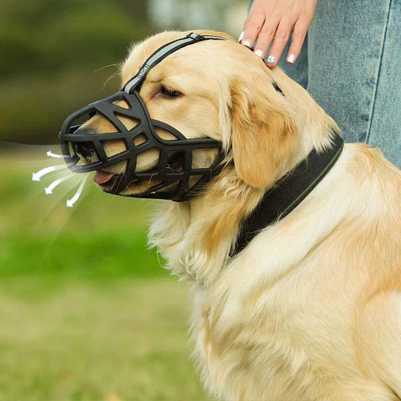 Yuki Maulkorb Hunde