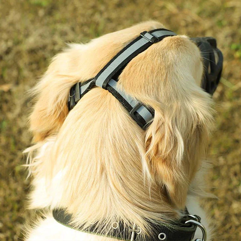 Yuki Maulkorb Hunde
