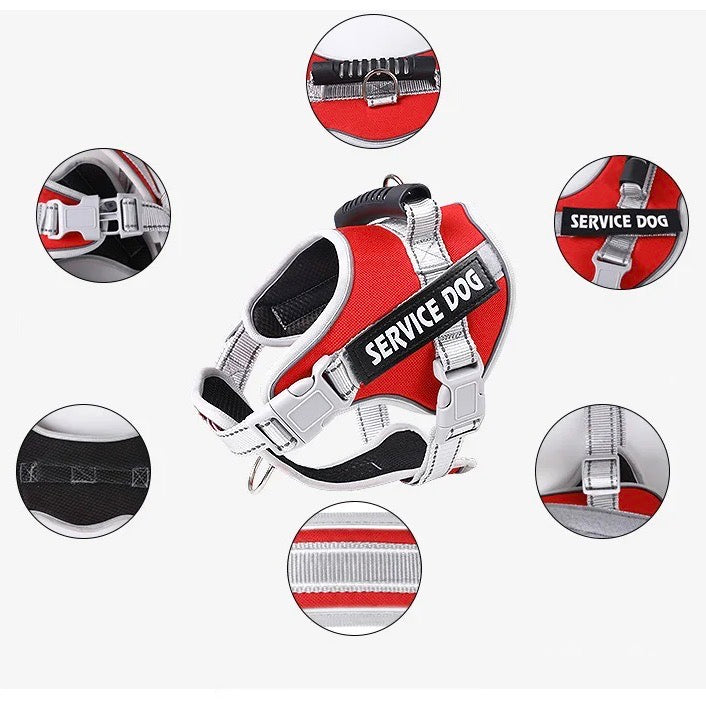 Hans Hundeleine mit Geschirr-Set für Assistenzhunde