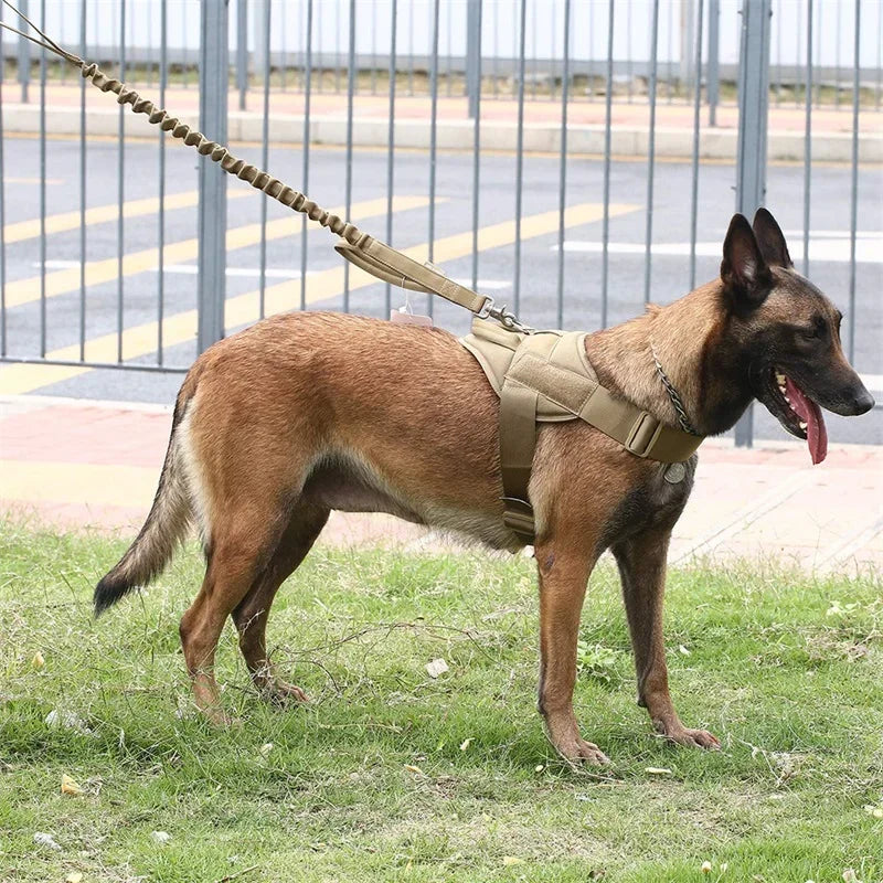 Fabian Hundegeschirr mit Schnellverschluss