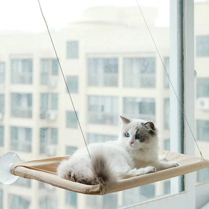 Jerry Fenster Hängematte für Katzen