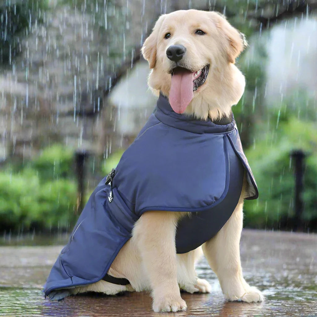 Cody Hundejacke