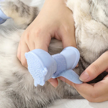 Phylo | Hundeschuhe mit strukturierten Sohlen und verstellbaren Riemen