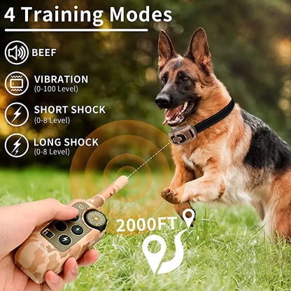 Ace Trainingshalsband für effektives Hundetraining auf Distanz