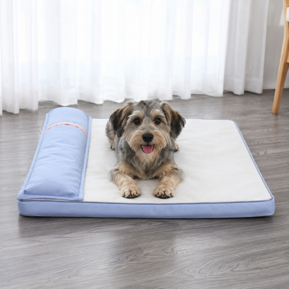 Sammy | Stressfrei schlafen mit Unterstützung